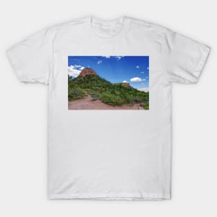 850_7049 T-Shirt